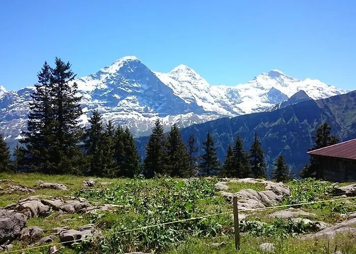 Berghaus Hintisberg *