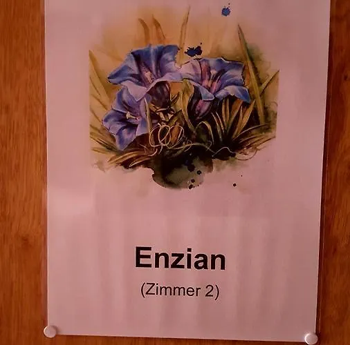 Berghaus Hintisberg Zajazd Lütschenthal