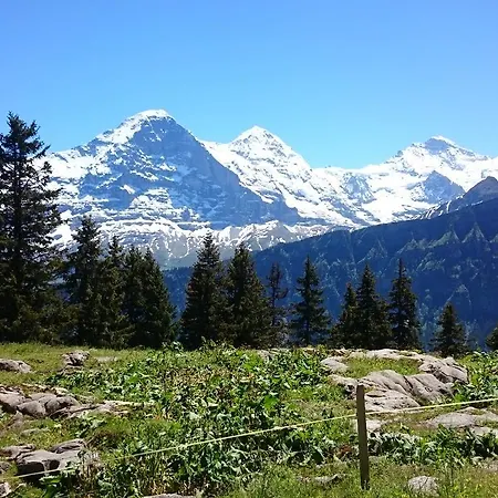 Berghaus Hintisberg *